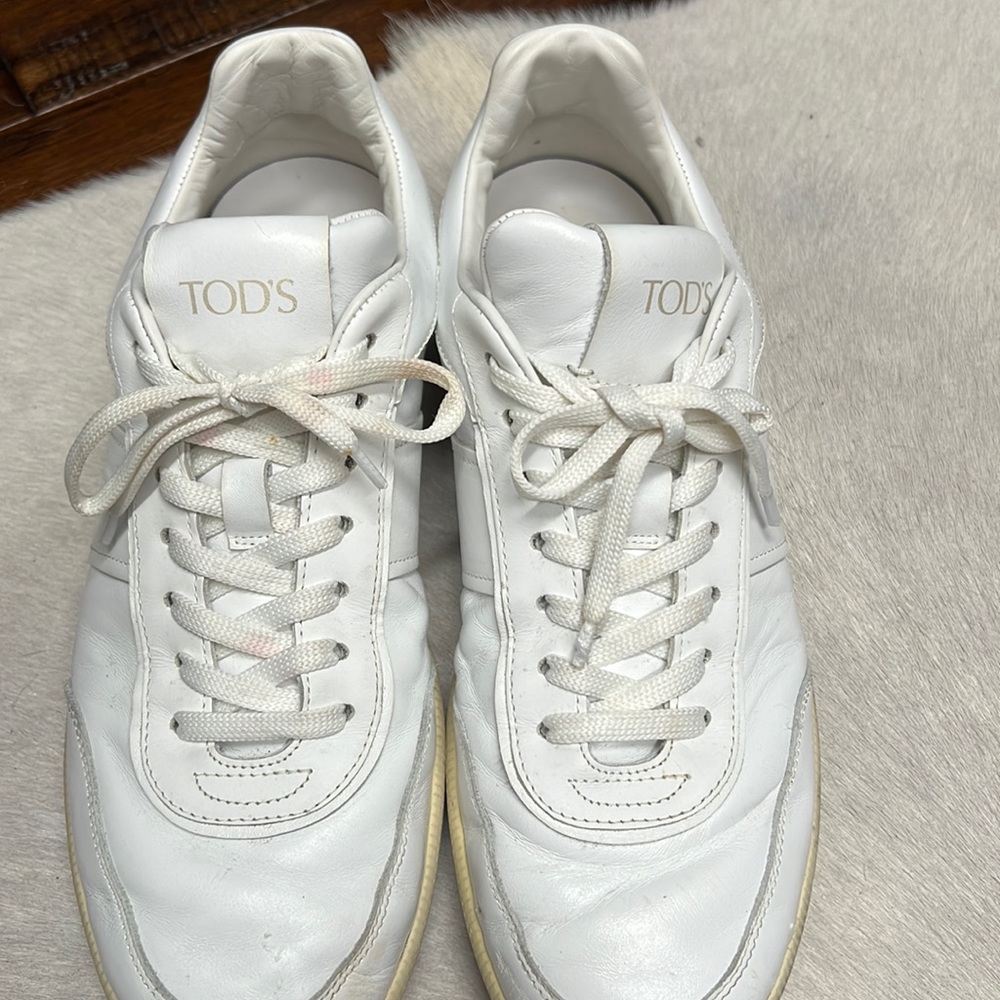Todd Sneakers